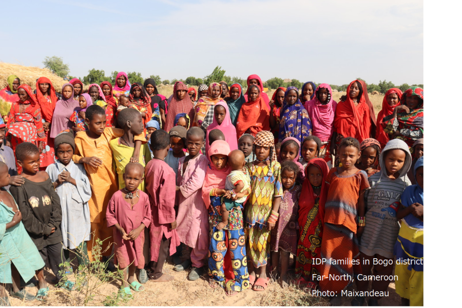 Humanitarian-Development-Peace (HDP) Nexus In Cameroon | United Nations ...